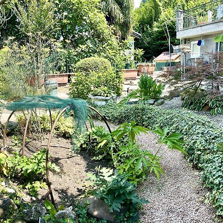 I Vallata Paradise I Free Parking - Garden&View - 10Minutes From Lugano Eksteriør billede