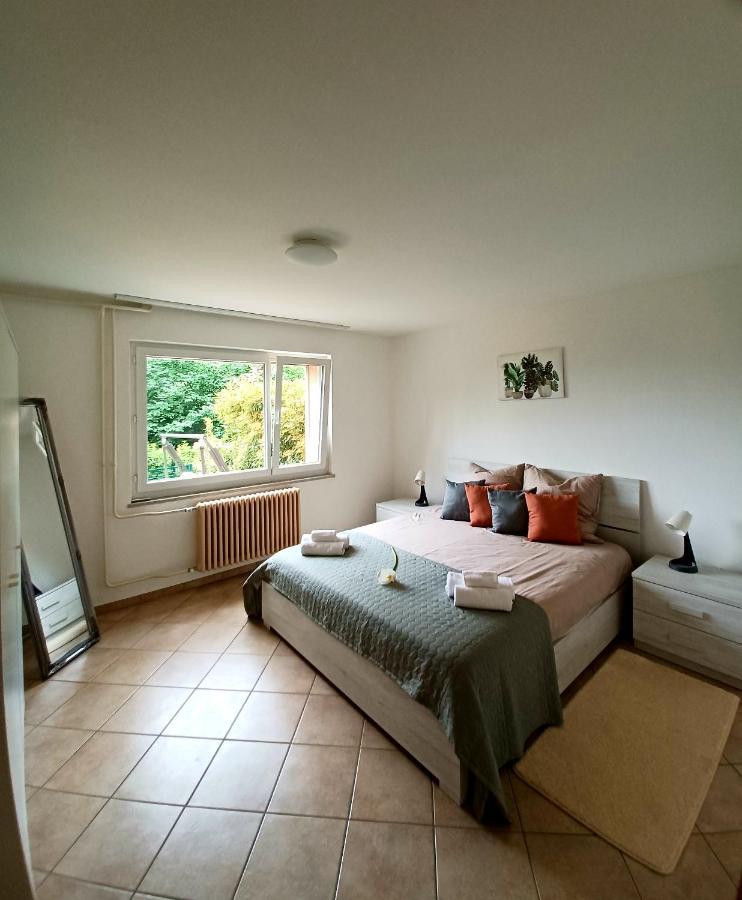 I Vallata Paradise I Free Parking - Garden&View - 10Minutes From Lugano Eksteriør billede