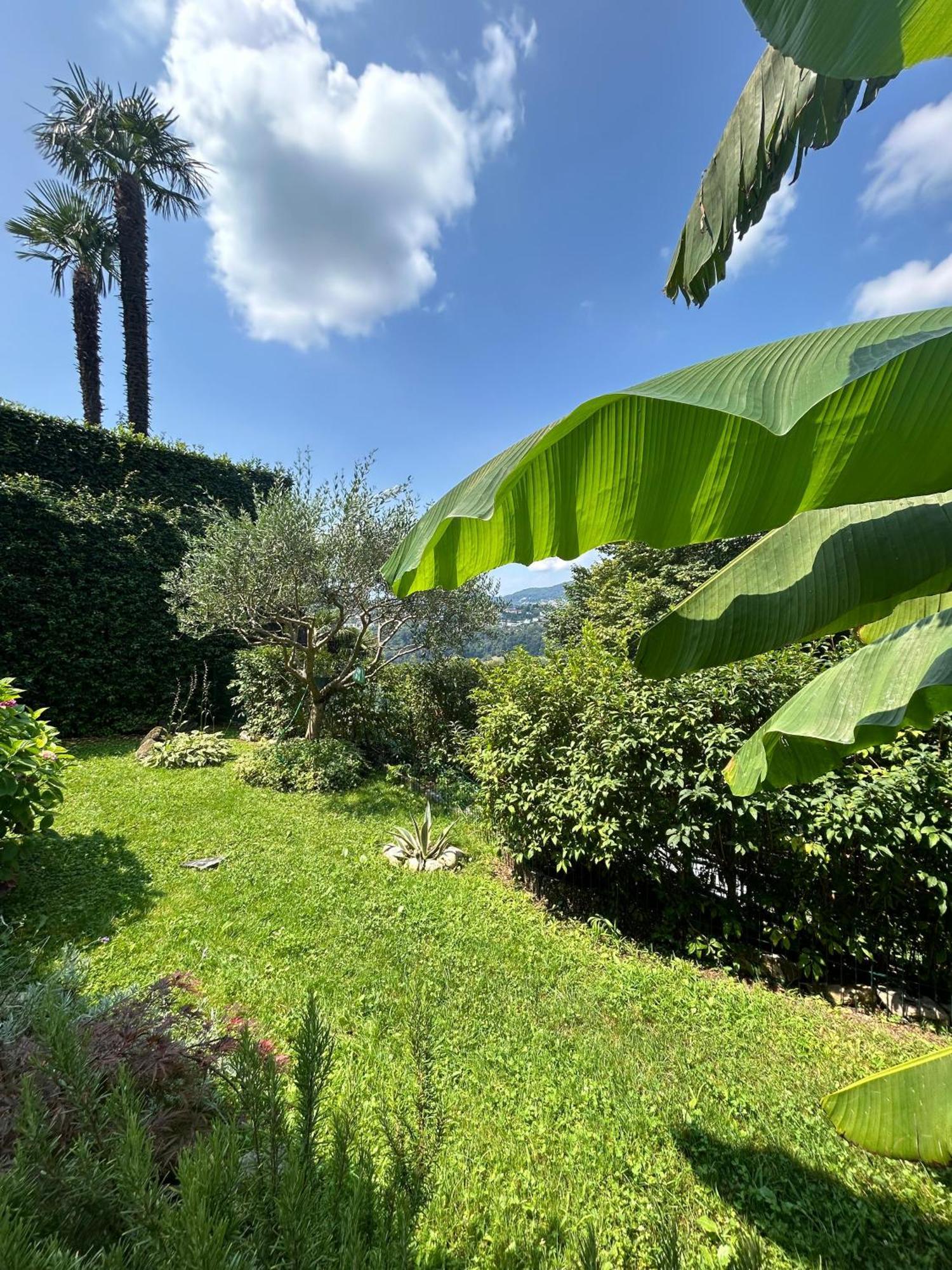 I Vallata Paradise I Free Parking - Garden&View - 10Minutes From Lugano Eksteriør billede
